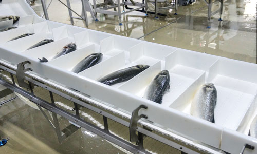 農・魚産物品質検査装置